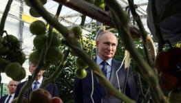 Russian President Vladimir Putin visits a Russian food producer (Mikhail Metzel/POOL/AFP/Getty Images)

