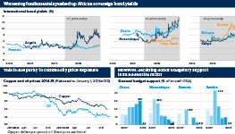 Worsening fundamentals pushed up most African sovereign bond yields. This is due partly to commodity price exposure. However, declining donor budgetary support is an added risk factor.