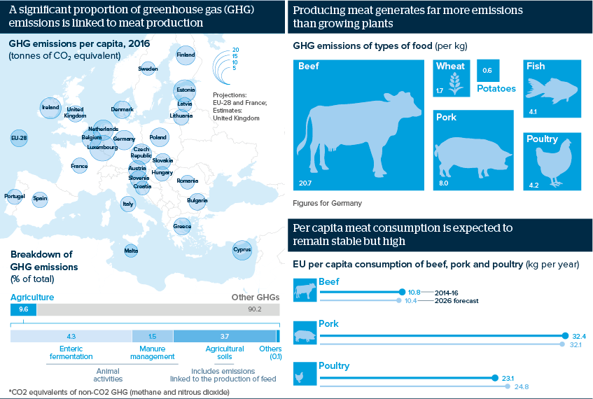 A significant proportion of greenhouse gas (GHG) emissions is linked to meat production