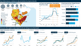 Infographic exploring rising food insecurity in East Africa. Countries that are already facing the prospect of large parts of their population under food security ratings of 'emergency' or 'famine' are seeing costs rise due to Russia's war in Ukraine. Prices for the region’s main staple foods are rising across the board.
