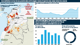 Infographic exploring coca farming in Colombia. A map and a chart show that coca cultivation is on the rise and poses threats, but it is largely confined to specific areas, many outside the Amazon. Tree cover loss spiked after the Revolutionary Armed Forces of Colombia (FARC) made peace in 2016, as power vacuums left deforestation unchecked