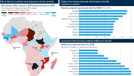 Infographic exploring changing forecasts of growth in Sub-Saharan Africa. The IMF has downgraded its 2025 GDP growth projection for Sub-Saharan Africa from 4.2% to 3.8%. A heatmap of  Sub-Saharan Africa shows the percentage point difference between growth forecasts for 2025 made in October 2024 and April 2025. 28 countries show a shade of red, indicating that their forecast is now more pessimistic than it was in 2024. More charts show vulnerable countries according to two indicators: projected government debt and projected reserves, measured as the number of months of imports of goods and services they would be able to sustain. Zimbabwe and Burundi are lowest, with less than one month available to them.