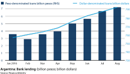 Argentinian bank lending showing Peso- and dollar- denominated loans in 2016
