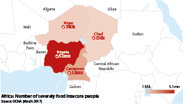 Number of severely food insecure people in Niger, Chad, Nigeria and Cameroon
