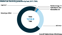 Middle East: Electricity generation by fuel, 2017 (TWh)