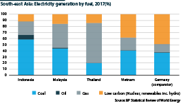 South-east Asia is heavily dependent on coal and gas for electricity generation 