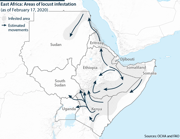 Areas of locust infestation in East Africa as of February 17, 2020