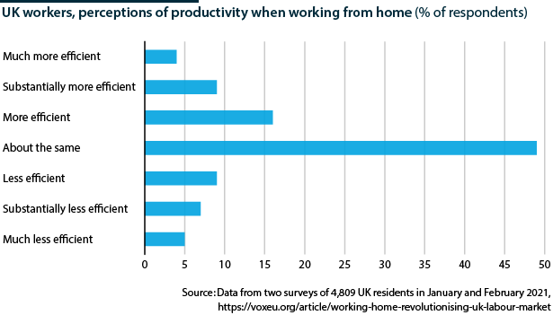 UK remote workers, perception of productivity           