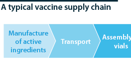 International: Stages involved in vaccine supply chains