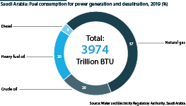Saudi Arabia: Fuel consumption for power and desalination, 2019 (trillion BTU and %)