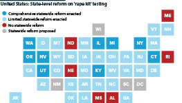 US state-level reform on addressing the backlog in 'rape kit' testing
