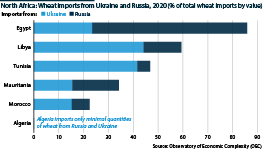 North Africa's wheat imports from Ukraine and Russia