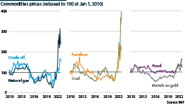 World fuel, food, fertiliser and metals prices, 2010-22