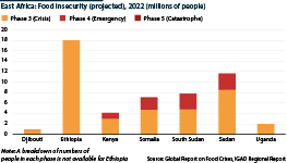 Projected levels of food insecurity for East Africa in 2022