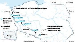 Poland: Pollution of Oder river basin, July-August 2022