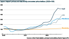 Import prices and electricity consumer price index (indices, 2020=100)