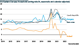 EU/Eastern Europe: Jump in household savings rates during pandemic