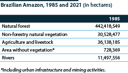 Brazil: Amazon deforestation data, 1985-2021 (hectares)