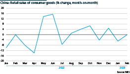 Retail sales of consumer goods, 2022-23 (% change, month-on-month)