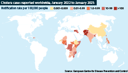 Cholera cases reported worldwide, January 2022-January 2023