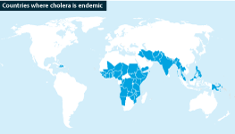 Countries where cholera is endemic according to the WHO