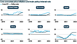 Selected economies' core inflation and interest rates