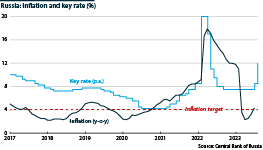Monthly inflation (year-on-year) and Central Bank key rate