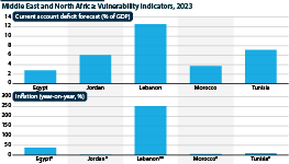 Middle East and North African vulnerability indicators, 2023