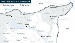 SYRIA: Tribal areas in the northeast, showing sedentary areas and historic territories