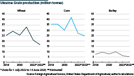 Ukrainian grain production dropped sharply last year due to the Russian invasion