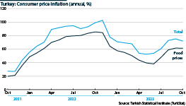 The chart shows details of Turkey's consumer price index