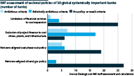 IMF assessment of climate policy at the largest banks