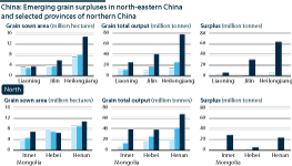 A chart showing emerging grain surpluses in north-eastern China and selected provinces of northern China