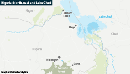 Nigeria's two largest jihadist groups are vying for control over the Lake Chad region