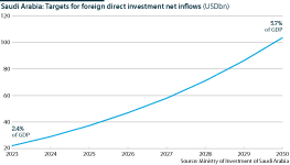 The chart shows Saudi Arabia's foreign direct investment targets by 2030