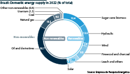 Brazil: Domestic energy supply by source, 2022 (%)