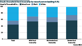 Brazil: Food insecurity by heads of household ethnicity (% of total)