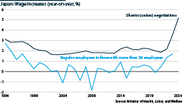 Japan wage growth, shunto (unionised) and corporates, 1994-2024