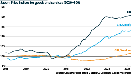 Japan goods and services CPI and producer prices, 2018-24