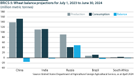 Russia is the only large-scale net exporter of grain within the BRICS