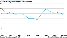 The chart shows Tunisia's foreign reserves stock until February 2024