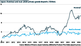 Japan nominal and real goods imports, 2010 to 2024