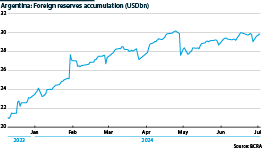 Argentina: Central Bank accumulation of international reserves (USDbn)