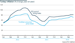 Turkey's consumer price inflation (% change, year-on-year)