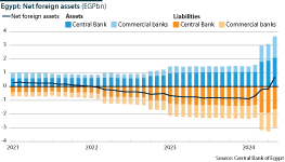 The chart shows impact of recent economic relief on net foreign assets in Egypt