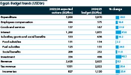 The chart shows details of Egypt's budget for fiscal year 2024/25