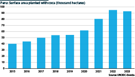 Peru: Total surface areas under coca cultivation, 2015-23 (hectares)