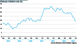 The inflation rate in Ethiopia between 2018 and 2024