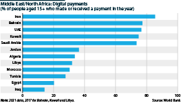 Digital payments in the Middle East and North Africa