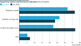 Argentina: Banking performance indicators, June 2023 and June 2024 (%)